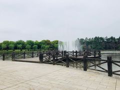 -上海鲜花港