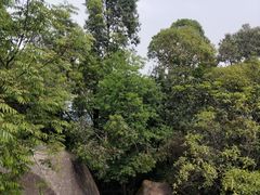 -火炉山森林公园