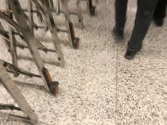 -东方体育中心(地铁站)