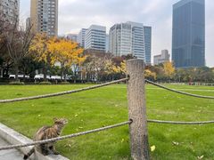 -上海不夜城广场(上海不夜城金融大厦店)