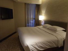 -天津水游城丽筠酒店