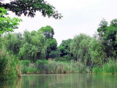 -梁鸿国家湿地公园
