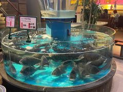 -魏铭鱼头捞饭(晋阳路店)