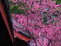 -望江楼公园