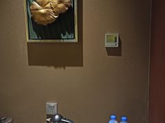 -上海浦东假日酒店