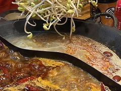 -阳阳老火锅(小南门店)