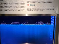 -白鹤梁水下博物馆