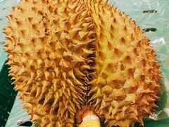 -麦德龙(嘉定店)