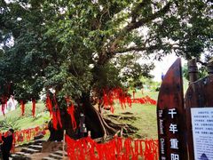 -蔡家宅
