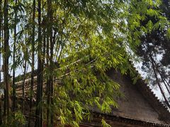 -建水文庙
