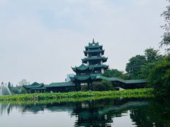 -桂湖森林公园