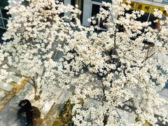 -俏湘私房菜(国贸店)