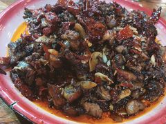 -柴窝堡22号辣子鸡·传承新疆菜