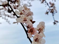 -洨河生态公园