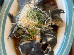清蒸龙胆鱼-花开富贵平潭海鲜楼(平潭店)