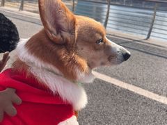 -西北湖绿化广场