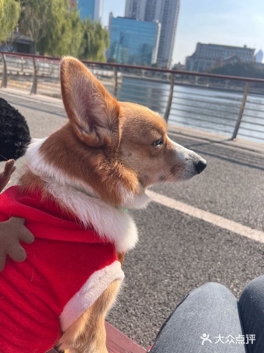 西北湖绿化广场图片