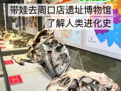 -北京周口店北京人遗址博物馆