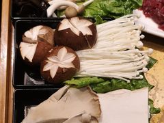 -手选潮汕鲜活牛肉火锅(二七广场店)