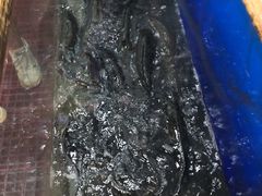 -活鱼馆(宜兴埠店)