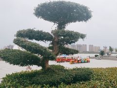 -咸阳湖景区-统一广场