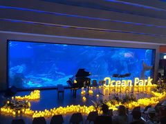 -海合安成都极地海洋公园