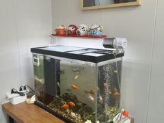 -会麦二手奢侈品包包手表回收寄卖(八佰伴店)