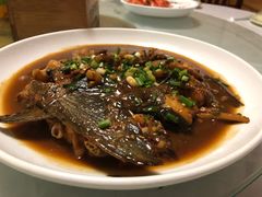 -全乐鱼馆·淳牌有机鱼直营店