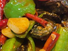 -船歌·鱼水饺青岛菜(金狮广场店)