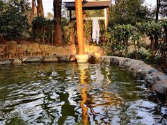 -山湖温泉
