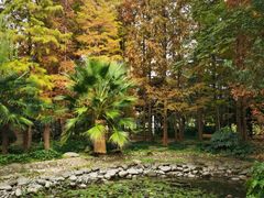 -苏州河梦清园环保主题公园