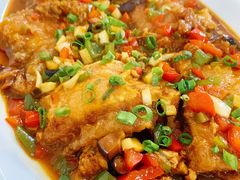 -品雅轩农家乐