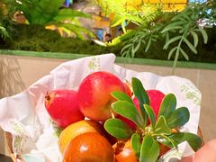 -季季山·云南野生菌火锅(上海首店)