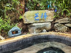 -腾冲洞山温泉村