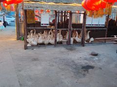 -鱼窝棚柴火铁锅炖(富山屯店)