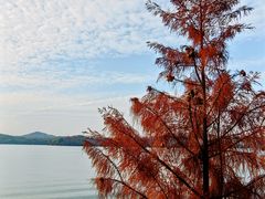 -天目湖山水园