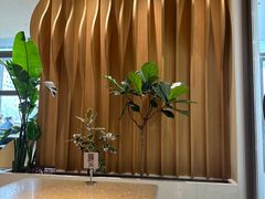 -Bco豆库(星耀天地店)