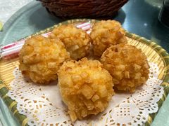 -丁老爷子苏香圆