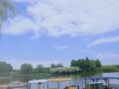 -合肥滨湖国家森林公园