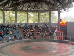 -石家庄市动物园