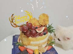 -杜哈夫DOUX RÊVE·生日蛋糕(日月光店)
