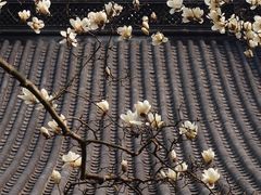 -杭州上天竺法喜讲寺