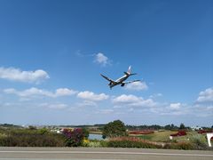 -空港花田景区