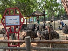 -郑州市动物园