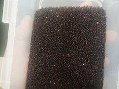 -成都中医药大学(温江校区)