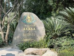 -都江堰景区