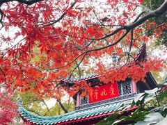 -岳麓山风景名胜区