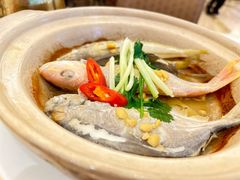 -锦粤宫·精致粤菜(深圳北站店)