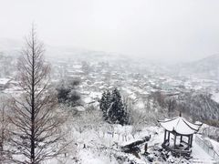 -鹿亭中村