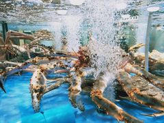 -七鲜超市(万向城店)